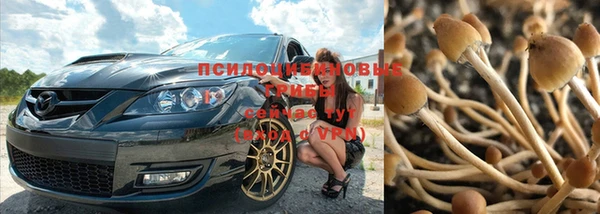 Альфа ПВП Володарск