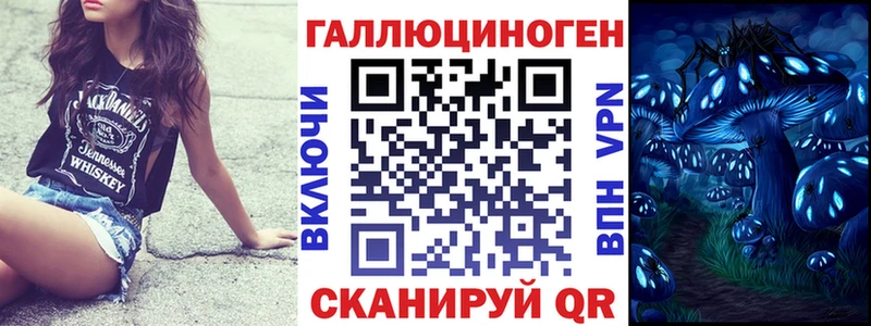 где найти   Новосокольники  Псилоцибиновые грибы мицелий 